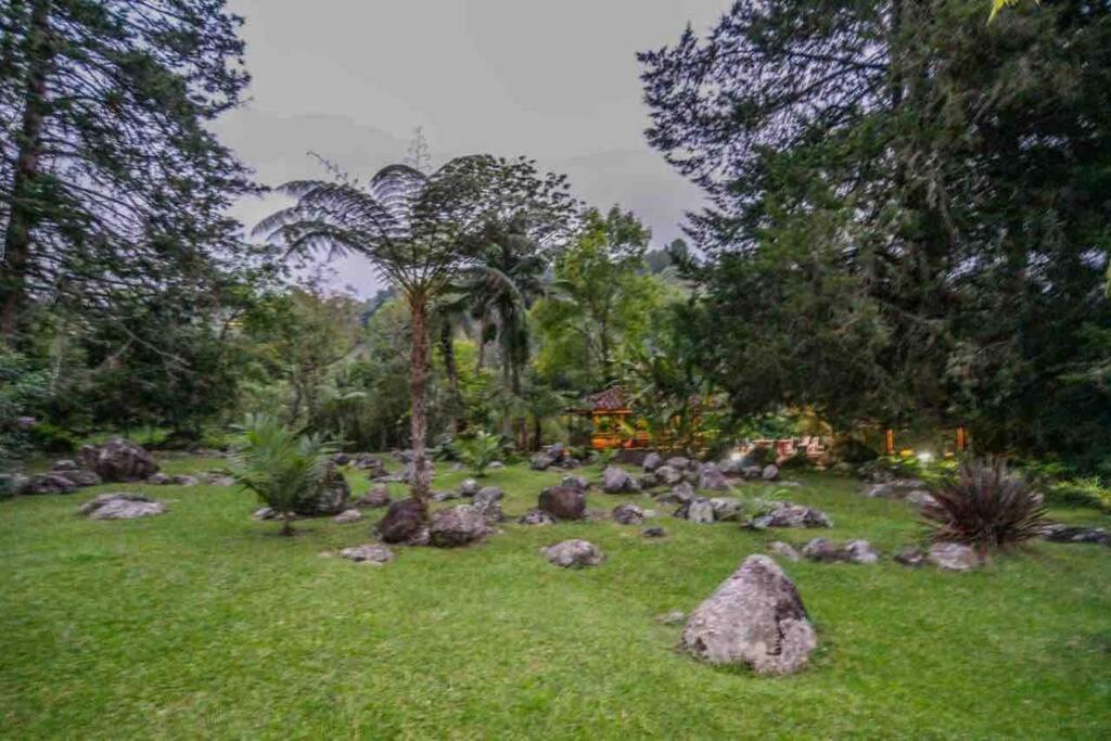 Finca Punta De Piedra Salento, Quindio Villa Luaran gambar