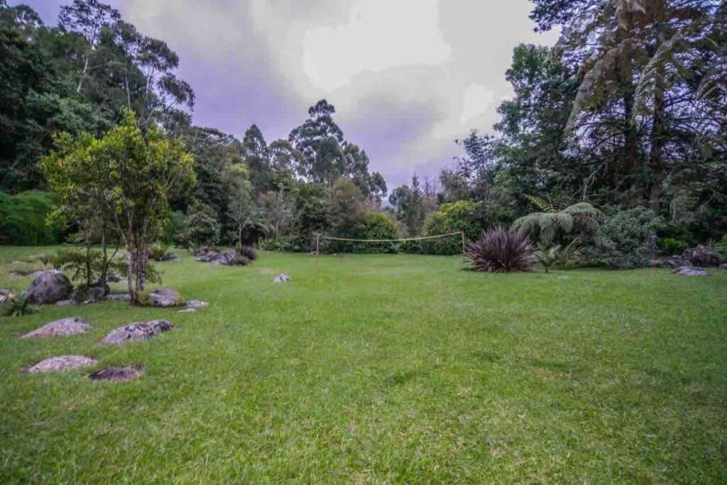 Finca Punta De Piedra Salento, Quindio Villa Luaran gambar