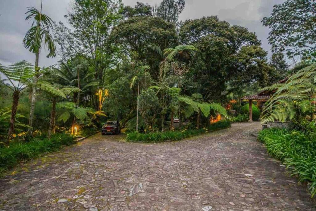 Finca Punta De Piedra Salento, Quindio Villa Luaran gambar